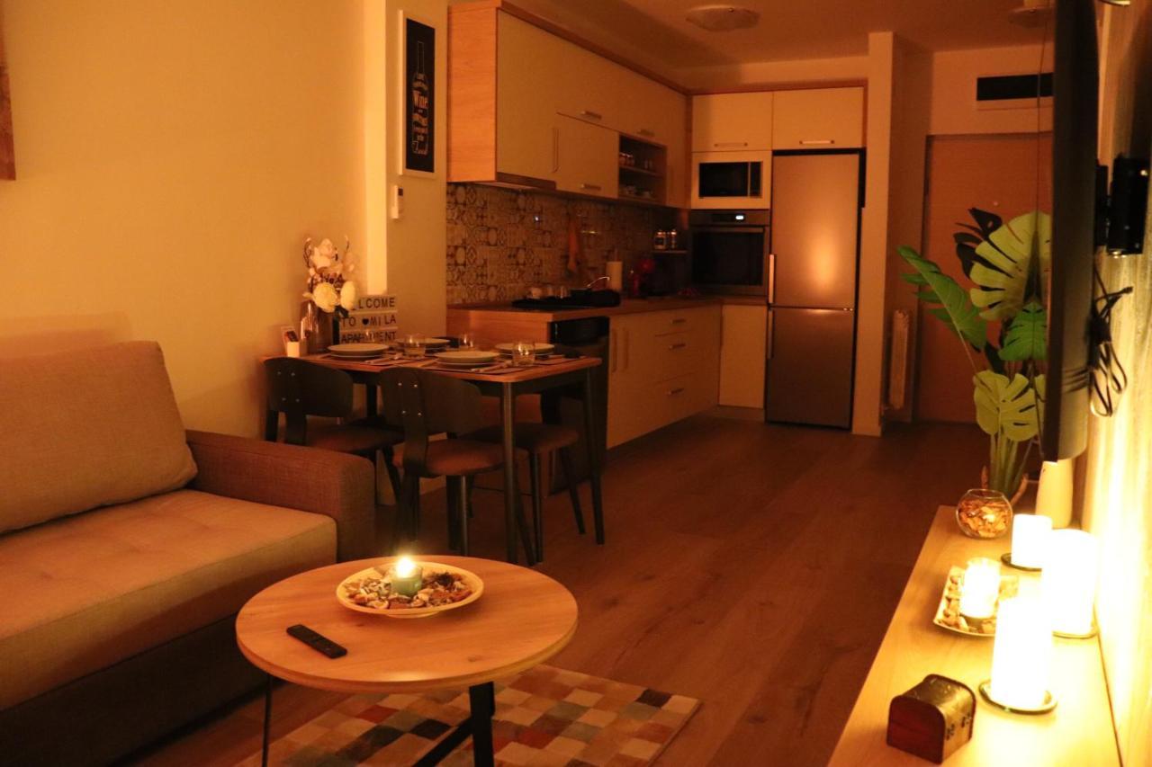 Apartman Mila 21 Belgrad Exterior foto